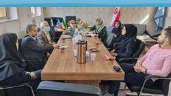مسئول دبیرخانه اعتبار بخشی دانشگاه از شروع اعتبار بخشی دانشکده داروسازی خبر داد